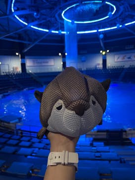 マクセル アクアパーク品川に投稿された画像（2024/7/22）