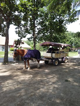 ノーザンホースパークに投稿された画像（2024/7/22）