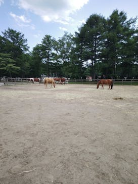 ノーザンホースパークに投稿された画像（2024/7/22）