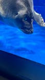 サンシャイン水族館に投稿された画像（2024/7/22）