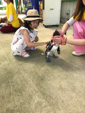 東北サファリパークに投稿された画像（2024/7/22）