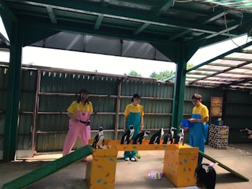 東北サファリパークに投稿された画像（2024/7/22）