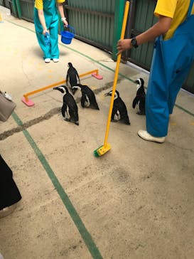 東北サファリパークに投稿された画像（2024/7/22）