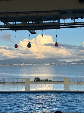 マリンワールド海の中道に投稿された画像（2024/7/22）
