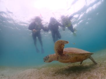 nico 宮古島に投稿された画像（2024/7/22）