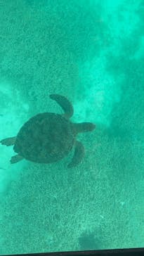 まりんはうすぐるくんに投稿された画像（2024/7/22）