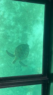 まりんはうすぐるくんに投稿された画像（2024/7/22）