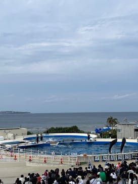 沖縄美ら海水族館に投稿された画像（2023/12/28）