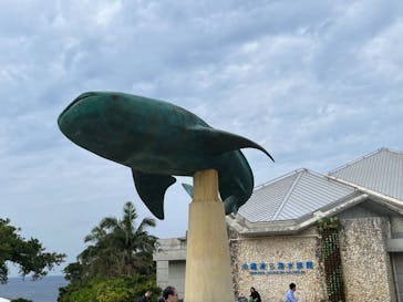 沖縄美ら海水族館に投稿された画像（2023/12/28）
