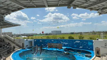 仙台うみの杜水族館に投稿された画像（2024/7/22）