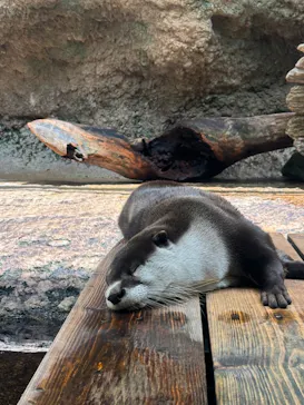 仙台うみの杜水族館に投稿された画像（2024/7/22）