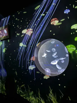 仙台うみの杜水族館に投稿された画像（2024/7/22）
