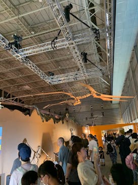 巨大恐竜展2024に投稿された画像（2024/7/22）