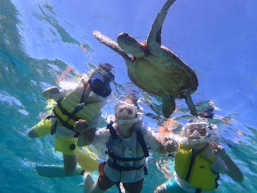 nico 宮古島に投稿された画像（2024/7/22）