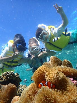 nico 宮古島に投稿された画像（2024/7/22）