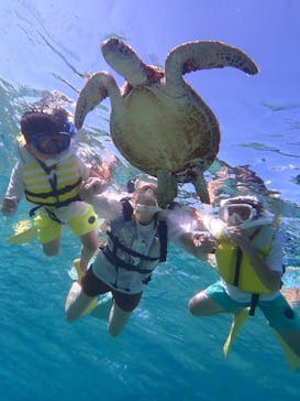 nico 宮古島に投稿された画像（2024/7/22）