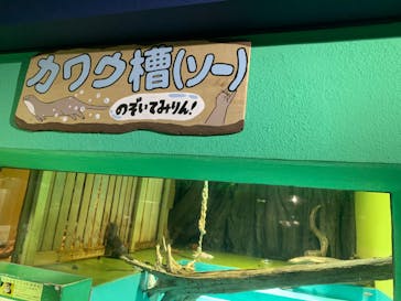 竹島水族館に投稿された画像（2024/7/22）