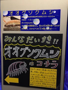 竹島水族館に投稿された画像（2024/7/22）