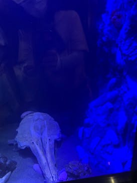 竹島水族館に投稿された画像（2024/7/22）