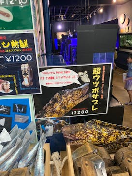 竹島水族館に投稿された画像（2024/7/22）