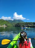 屋久島フィールド情報センターに投稿された画像（2024/7/23）