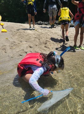 屋久島フィールド情報センターに投稿された画像（2024/7/22）