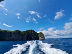 プロロマリンに投稿された画像（2024/7/23）