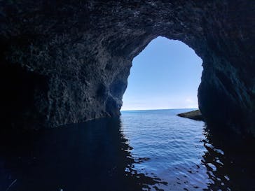 プロロマリンに投稿された画像（2024/7/23）