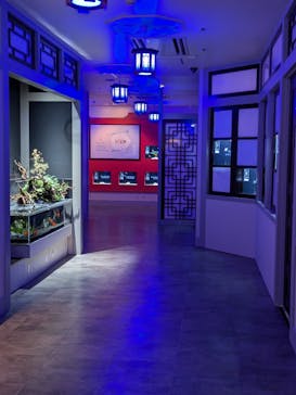 横浜開運水族館 フォーチュンアクアリウムに投稿された画像（2024/7/23）