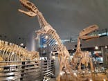 福井県立恐竜博物館に投稿された画像（2024/7/23）