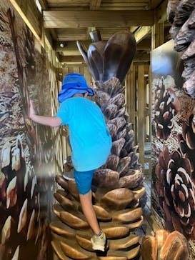 モビリティリゾートもてぎに投稿された画像（2024/7/23）