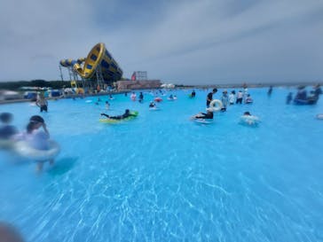 芝政ワールドに投稿された画像（2024/7/23）