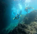 武藤潜水に投稿された画像（2024/7/23）