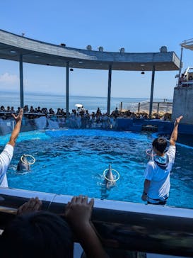 大分マリーンパレス水族館 「うみたまご」に投稿された画像（2024/7/23）