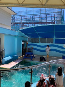 竹島水族館に投稿された画像（2024/7/23）