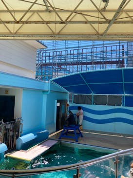 竹島水族館に投稿された画像（2024/7/23）