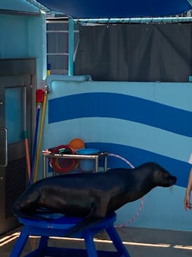 竹島水族館に投稿された画像（2024/7/23）