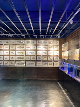 竹島水族館に投稿された画像（2024/7/23）