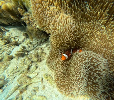  マリンショップHAPPYに投稿された画像（2024/7/22）