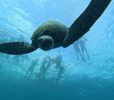  マリンショップHAPPYに投稿された画像（2024/7/22）