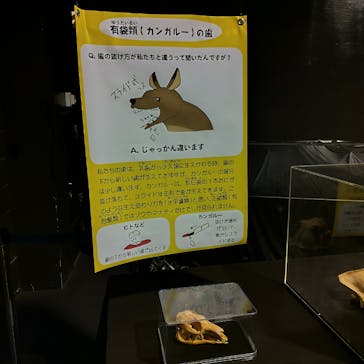 沖縄こどもの国に投稿された画像（2024/7/23）