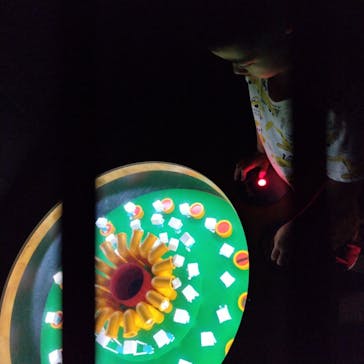 沖縄こどもの国に投稿された画像（2024/7/23）