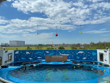 仙台うみの杜水族館に投稿された画像（2024/7/23）