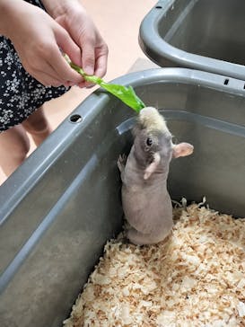 いきもの探検隊上尾に投稿された画像（2024/7/23）