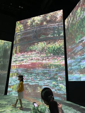 モネ＆フレンズ・アライブに投稿された画像（2024/7/23）