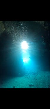 武藤潜水に投稿された画像（2024/7/23）