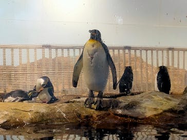 マクセル アクアパーク品川に投稿された画像（2024/7/23）