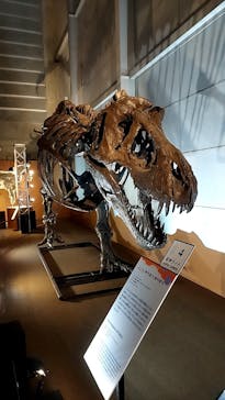 巨大恐竜展2024に投稿された画像（2024/7/23）