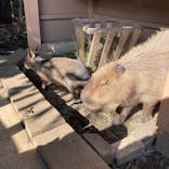 横浜・八景島シーパラダイスに投稿された画像（2024/7/23）