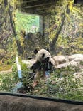 恩賜上野動物園に投稿された画像（2024/7/23）